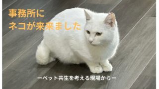 2bd3e99e9eb6a99abee6a5d6828ebf53 320x180